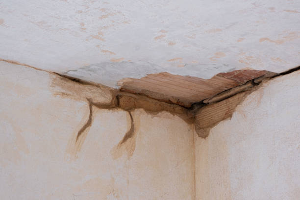 Best Sewage cleanup and water damage restoration  in Colton, CA