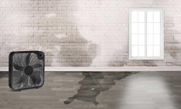 Best Emergency water damage restoration  in Colton, CA
