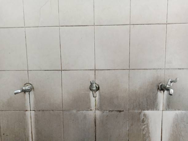 Best Flood damage cleanup  in Colton, CA