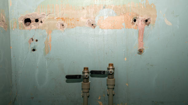 Best Residential water damage restoration  in Colton, CA