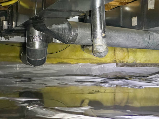 Best Local water damage restoration  in Colton, CA