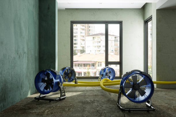 Best Water damage restoration near me  in Colton, CA