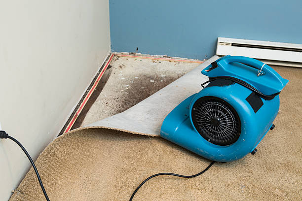 Best Commercial water damage restoration  in Colton, CA